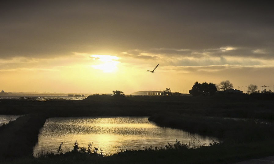 Ille d´Oleron en Camper